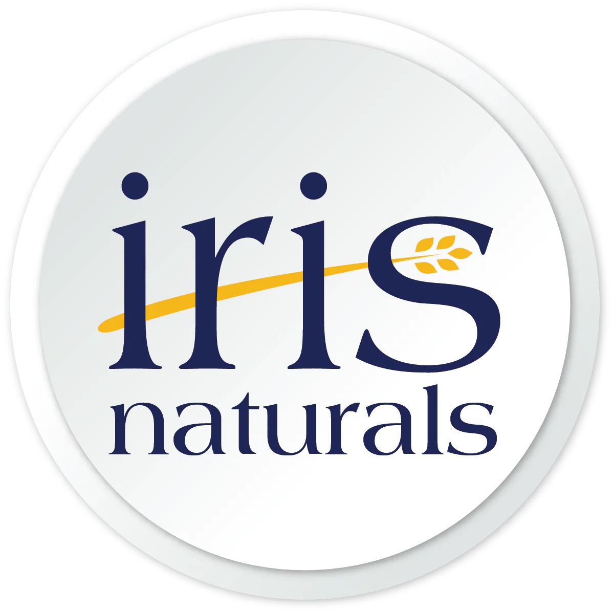 WhatsApp_Image_2025-06-10_at_12.25.10_d8c0eb71-removebg-preview